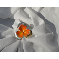 Catharina ring middel