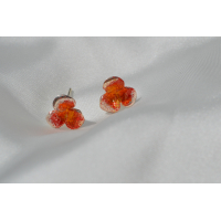 Catharina klein oorstekers