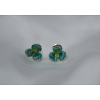 Catharina klein oorstekers