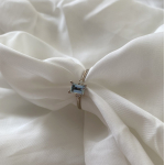 Jolien ring