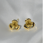 Catharina klein oorstekers