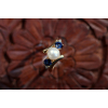 Eleanor ring