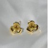 Catherine small earstuds