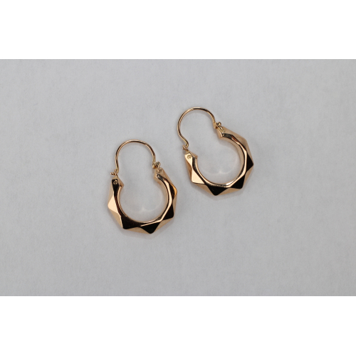 Harper earrings Harper earrings
