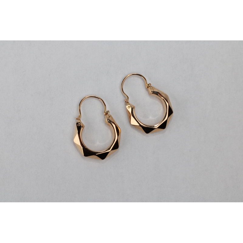 Harper earrings